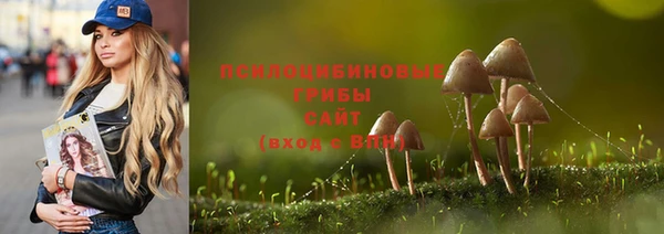 PSILOCYBIN Абинск