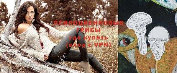 jwh Абаза