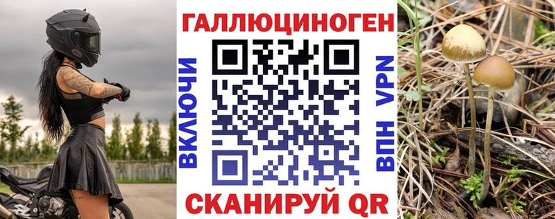 Псилоцибиновые грибы Psilocybine cubensis  Якутск 